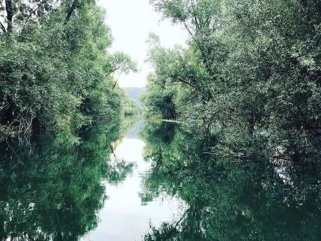 Комплексы для отдыха с коттеджами/бунгало Ethno Village Skadar lake Ponari-67